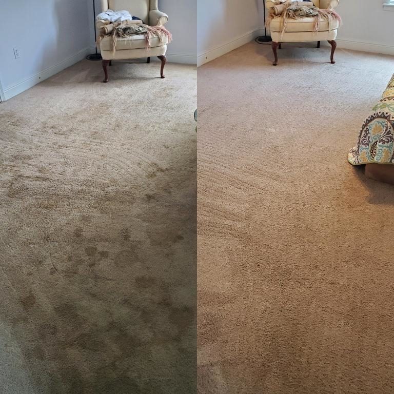 Living room carpet restoration before and after