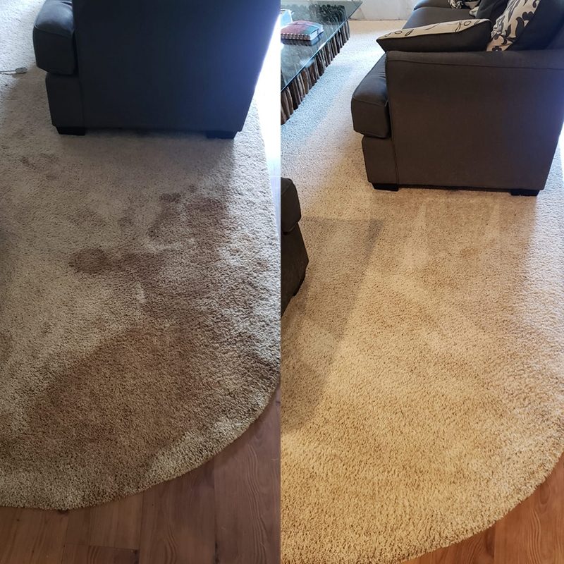 Shag rug deep clean before and after