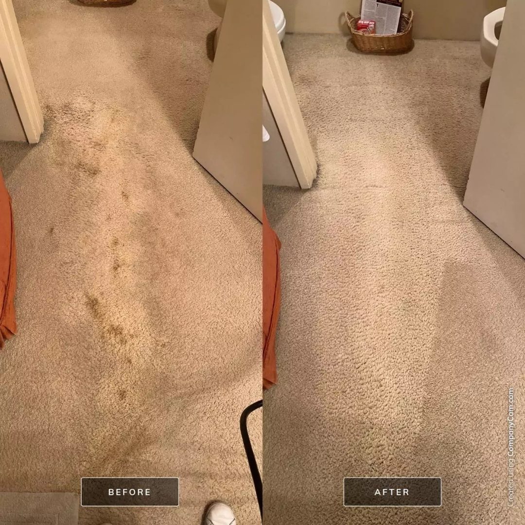 Hallway traffic stain removal before and after