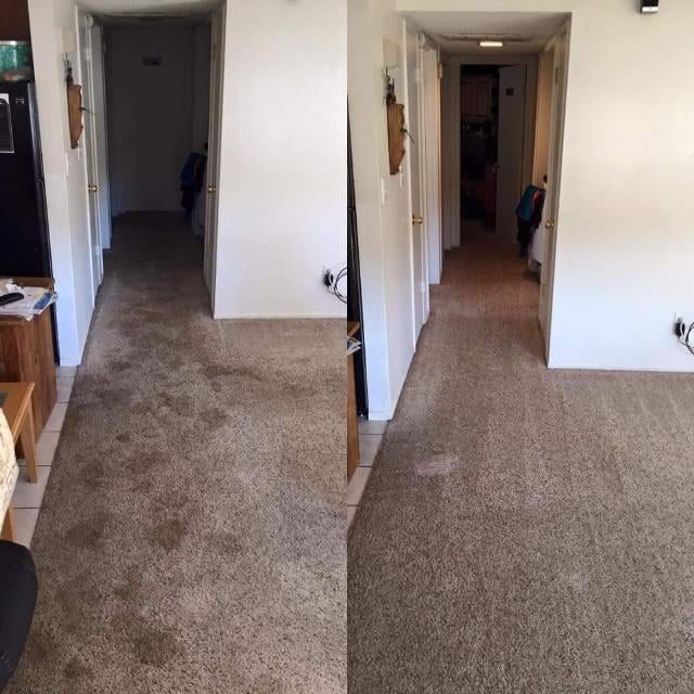 Hallway and living area full carpet clean before and after